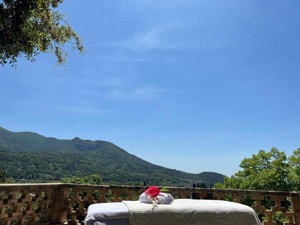 Les Horizons - Spa-Jacuzzi - Massage- Sauna - 4 Saisons - Piscine Chauffee Toute L'Annee - 800M Centre Ville Nyons Buitenkant foto