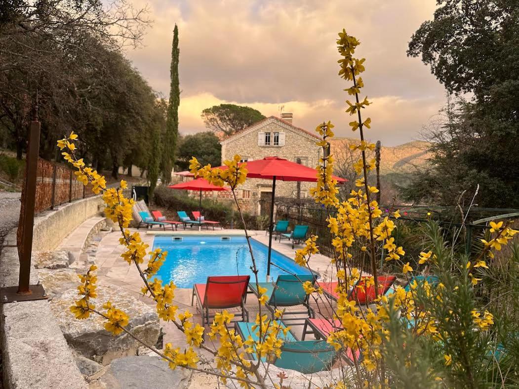 Les Horizons - Spa-Jacuzzi - Massage- Sauna - 4 Saisons - Piscine Chauffee Toute L'Annee - 800M Centre Ville Nyons Buitenkant foto